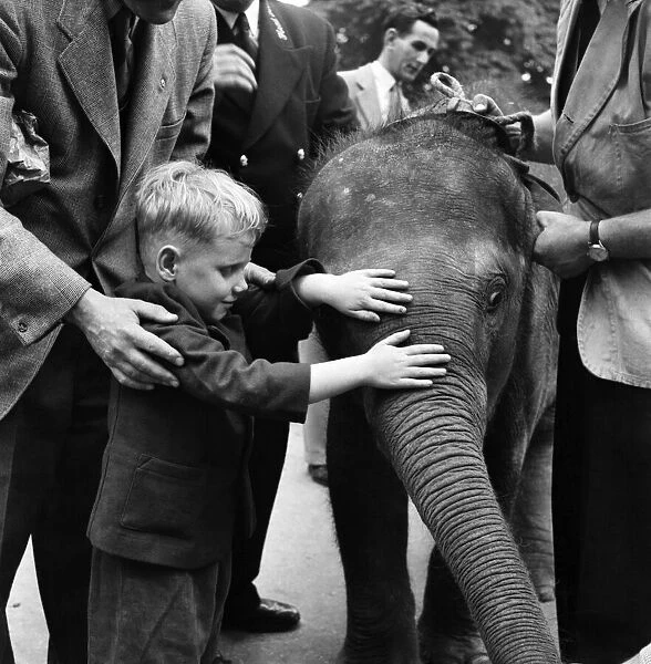 Animals and children Blind Child with an elephant at London Zoo