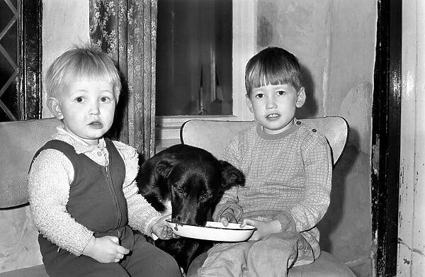 Animals with children - Dogs: Feeding time for 'Teeny'