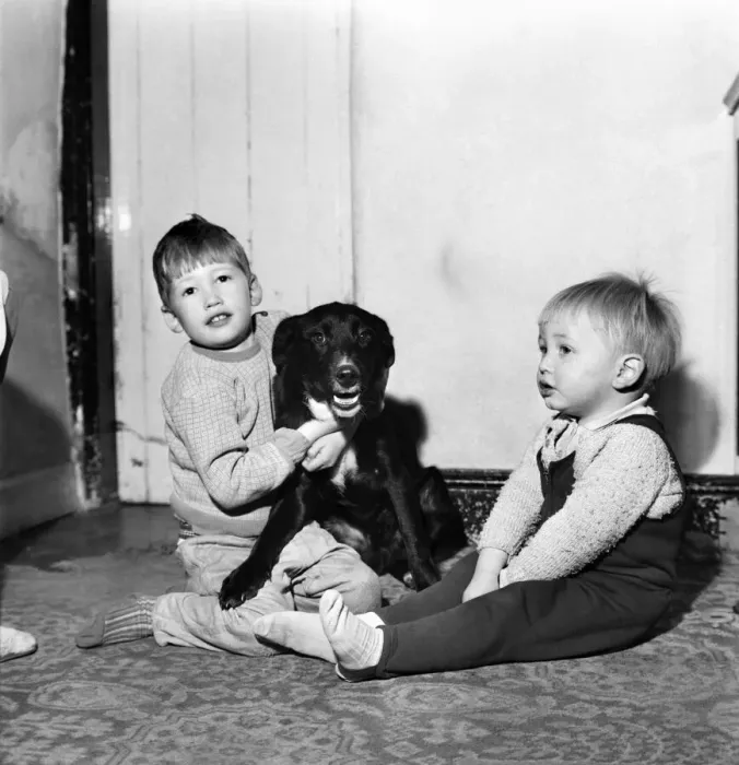 Framed Print : Animals with children - Dogs: Feeding time for Teeny Framed Print : Animals with children - Dogs: Feeding time for Teeny