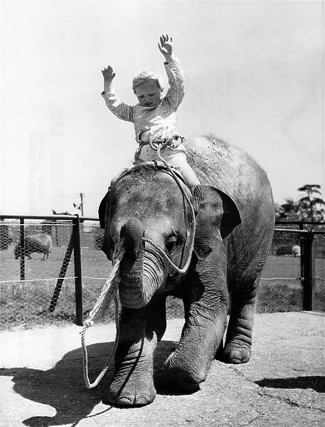 Animals - Children with Elephants. June 1972 P000475