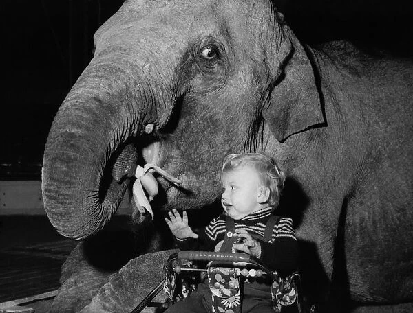 Animals - Children with Elephants. March 1975 P000477