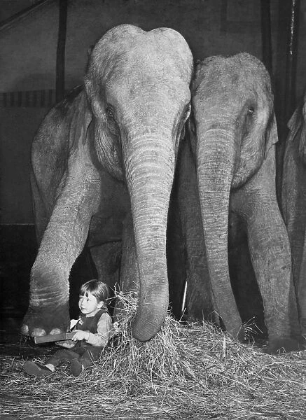 Animals - Children with Elephants. October 1959 P000474