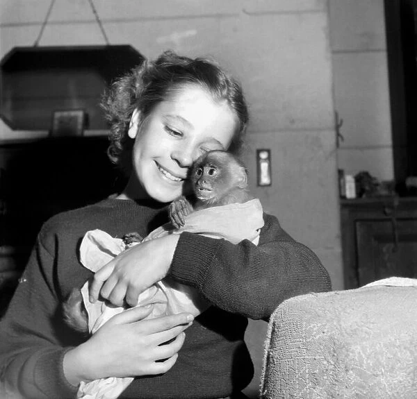 Animals: Children: Friendship. 10 years old Anita Howat with her pet spider monkey '