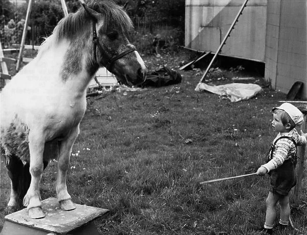Animals: Children and Horses. June 1971 P000487