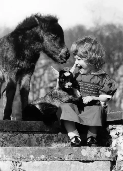 Framed Print : Animals - Children with Horses. May 1981 P000490