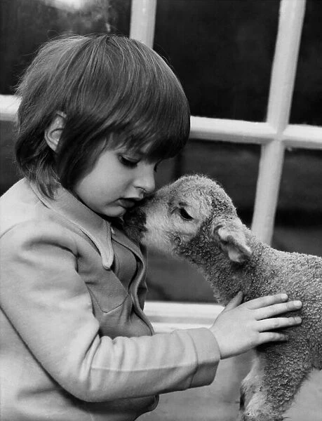 Animals : Children & Lambs. January 1974 P000502