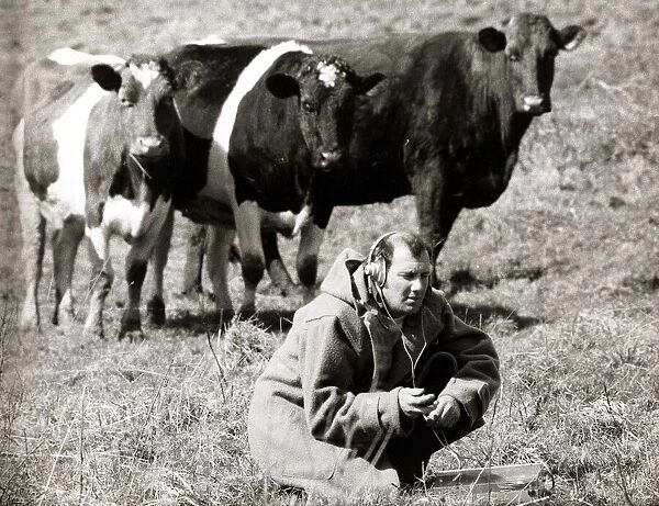 Animals - Cows - April 1971 Ray Goodwin with Head Phones making a recording in
