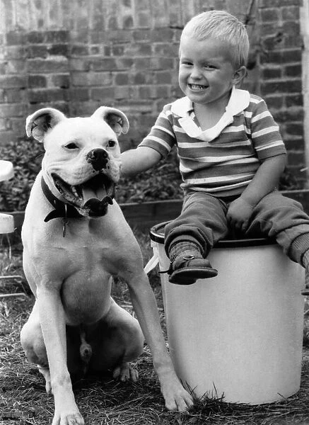 Animals - Dogs children friendship. August 1985 P000615