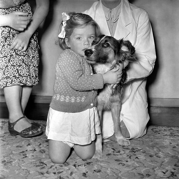 Animals dogs: Children: Friendship. The dog that rattled goes home. September 1953 D5772