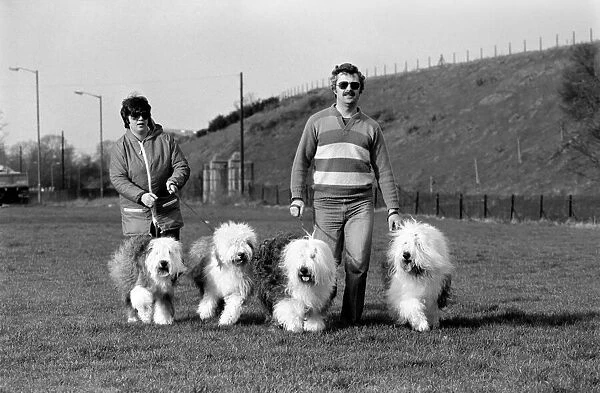 Animals. Dogs: 'Duke'the Dulux dog has 3 understudies they are Tania
