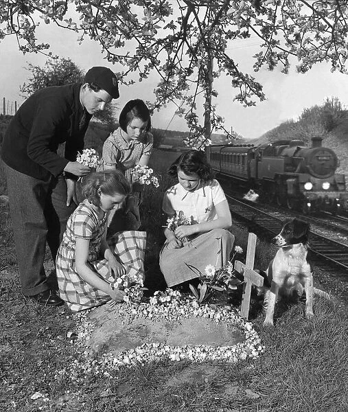 Animals Dogs Friendships Prince Grave May 1953 Children lay flowers on the grave