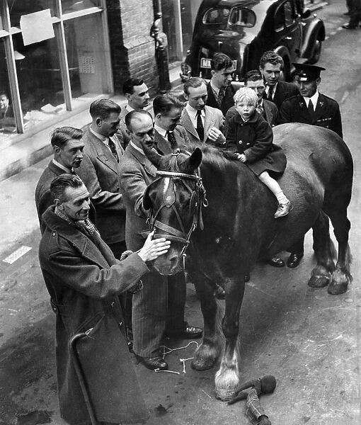 Animals: Horses. Fred Woodham chooses a new horse at R. S. P. C. A. June 1949 P004860
