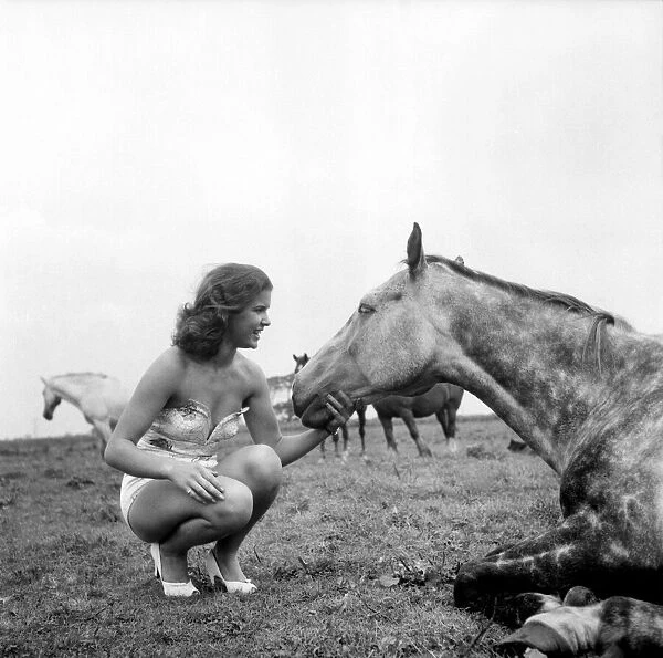 Animals: Horses: Syd Owen with one of the farm horses at Downholland