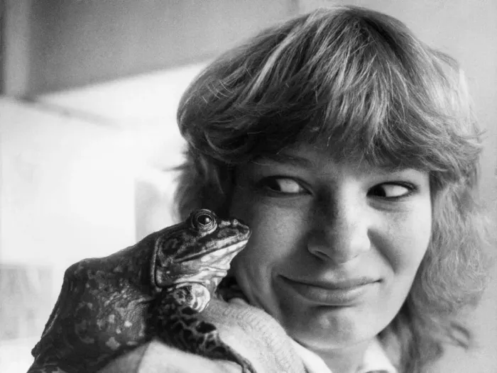 Framed Print : Animals humour. 17 yrs old Sandra Atherton, of Colwyn Bay Mountain Zoo with an American Framed Print : Animals humour. 17 yrs old Sandra Atherton, of Colwyn Bay Mountain Zoo with an American