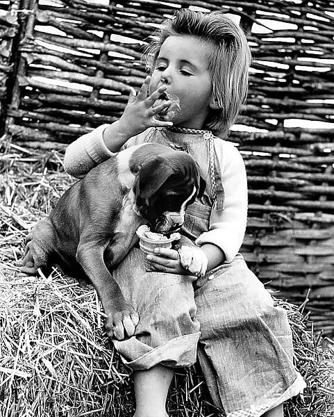 Animals Humour Dogs Boxer George September 1959 Hilary Dellar with the puppy 8 week