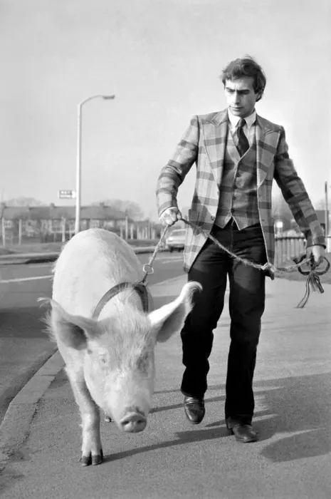 Framed Print : Animals: Humour. Porker Walker. Thorsten Kohrmann with Anna his performing pig between Framed Print : Animals: Humour. Porker Walker. Thorsten Kohrmann with Anna his performing pig between