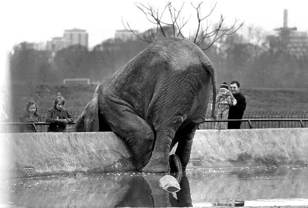 Animals. London Zoo: Elephant. January 1976 76-00002-007
