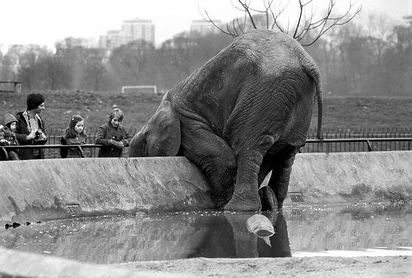 Animals. London Zoo: Elephant. January 1976 76-00002-008