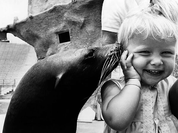 Animals : Sea lion and Children : Friendship. November 1969 P000531