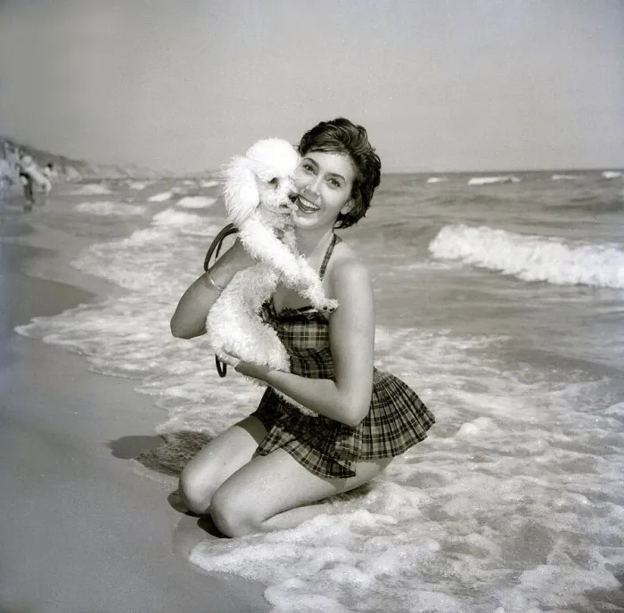 Framed Print : Anita Harris with poodle dog Daki on Bournemouth beach Animals Dogs Framed Print : Anita Harris with poodle dog Daki on Bournemouth beach Animals Dogs