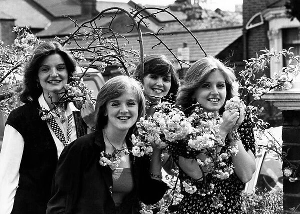 Anne, left, Bernadette, maureen and Linda enjoy the apple blossom. May 1979 P009920