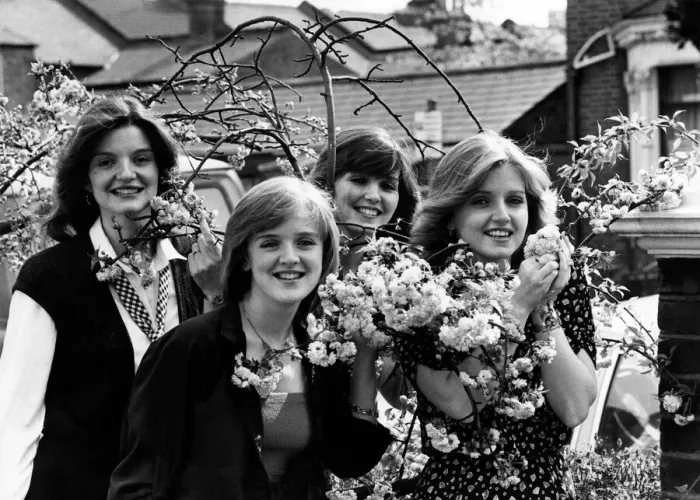 Framed Print : Anne, left, Bernadette, maureen and Linda enjoy the apple blossom. May 1979 P009920