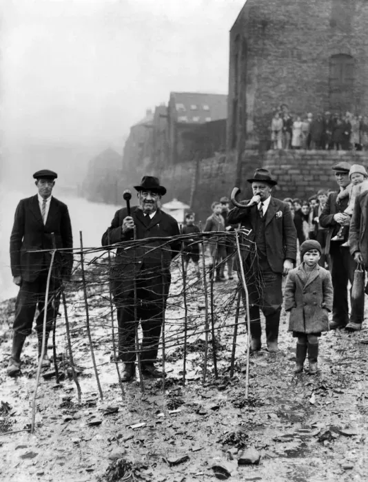 Framed Print : The annual ceremony of planting the Penny Hedge which dates back 800 years seen here