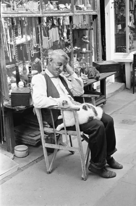 Framed Print : An antique dealers dozing att his shop in The Lanes in Brighton July 1958 Framed Print : An antique dealers dozing att his shop in The Lanes in Brighton July 1958