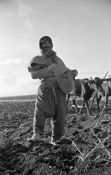 A Arab farming sowing grain close to the River Jordan Palastine. Circa 1935