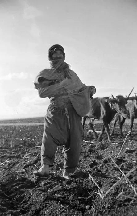 Framed Print : A Arab farming sowing grain close to the River Jordan Palastine. Circa 1935