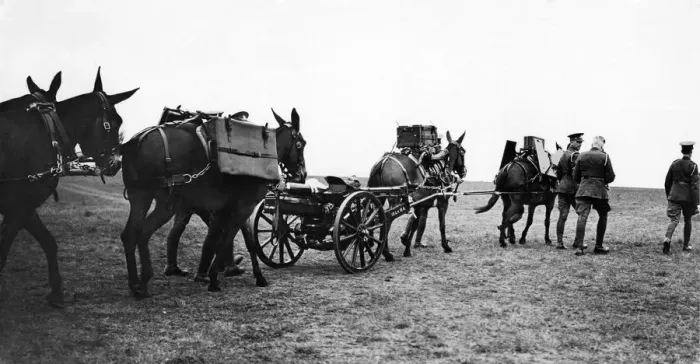Framed Print : The Army Royal Artillery light pack brigade. June 1935 Framed Print : The Army Royal Artillery light pack brigade. June 1935