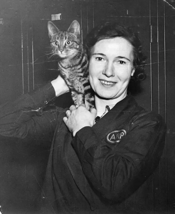 Framed Print : An ARP (Air Raid Precaution) ware, holds up a kitten, safe