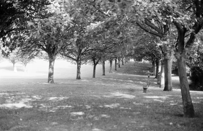 Framed Print : Arthur Newbery Park, Tilehurst, Reading, Berkshire, September 1980 Framed Print : Arthur Newbery Park, Tilehurst, Reading, Berkshire, September 1980