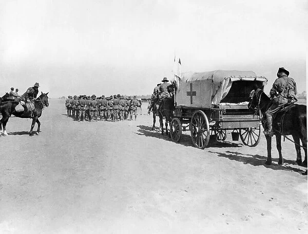 Australian contingent of the Egyptian Expeditionary Force (EEF