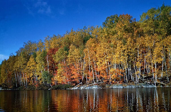 Autumn Scene in Northern Ontario, Canada