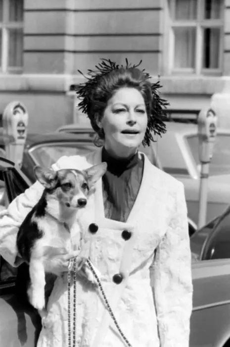 Framed Print : Ava Gardner August 1969 With her Corgi dog in London A©Daily Mirror Framed Print : Ava Gardner August 1969 With her Corgi dog in London A©Daily Mirror
