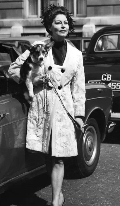 Framed Print : Ava Gardner carrying a pet corgi as she arrives on location set in London - January 1970