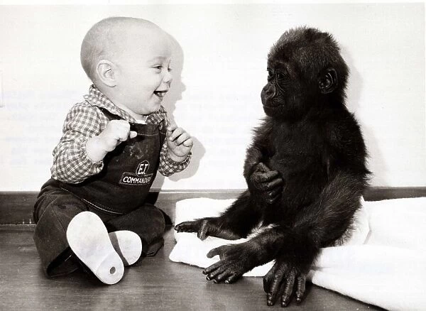 The baby boy gets excited in the presence of his new friend - a baby gorilla