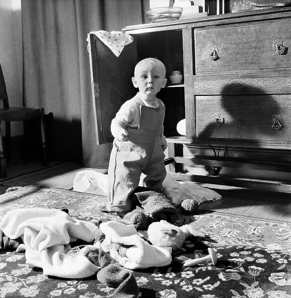 Baby boy looking in the cupboards at his home. October 1952 C5534-003