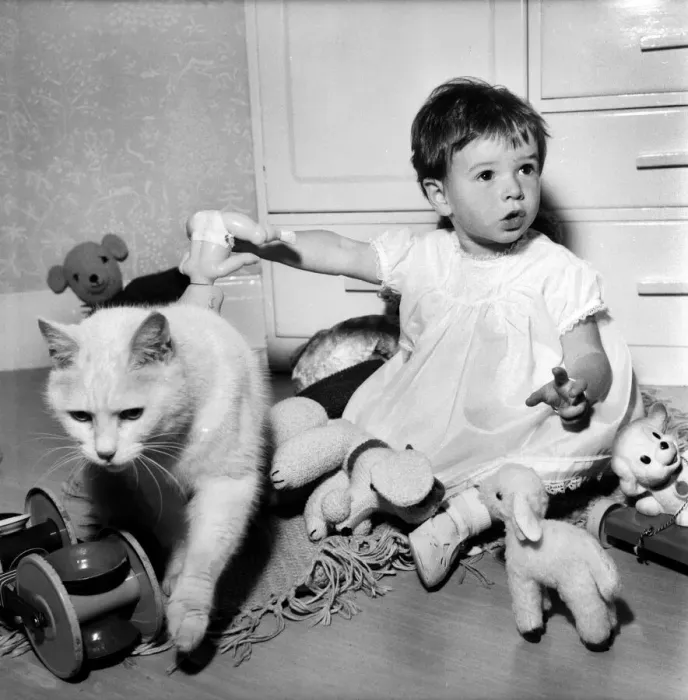 Framed Print : Baby and Cat: Karen at home with cats at the sink with nappies etc