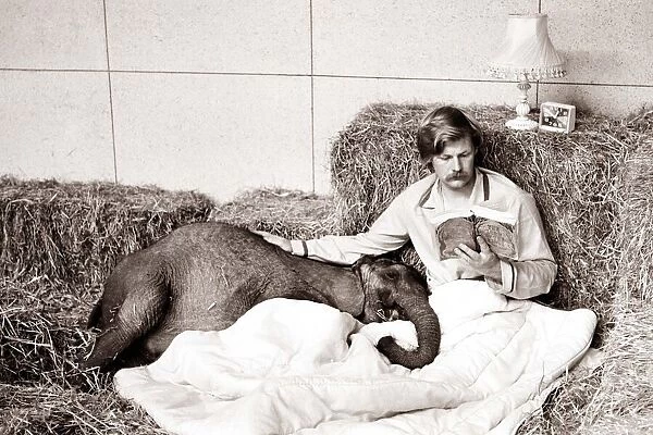 A baby elephant is read a bed time story circa 1971