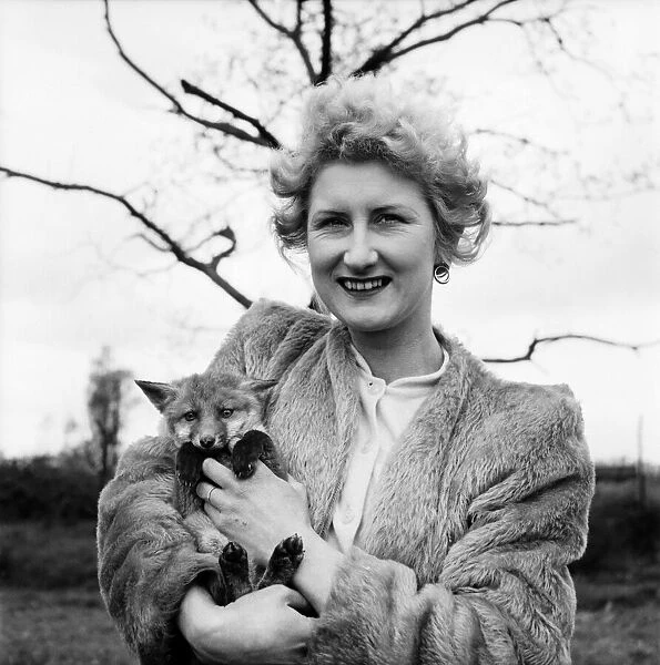 Baby Fox which has been adopted by Mrs M Bartlett. June 1953 D2236