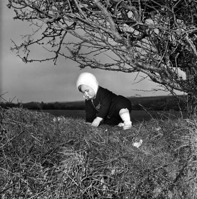 Framed Print : A baby girl crawling around outside. December 1952 C6203