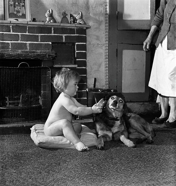 A baby girl sitting inside the house by the fire with pet dog December 1952