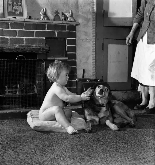 Framed Print : A baby girl sitting inside the house by the fire with pet dog December 1952 Framed Print : A baby girl sitting inside the house by the fire with pet dog December 1952