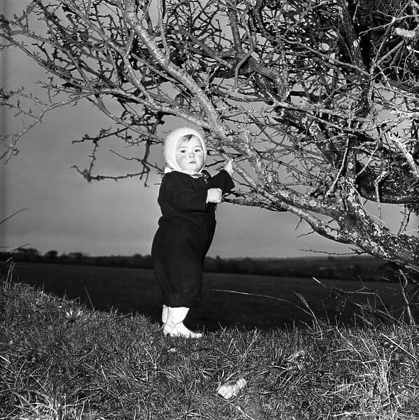 A baby girl standing against a tree. December 1952 C6203-001