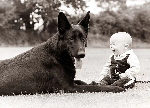 a baby laughs at his canine companion