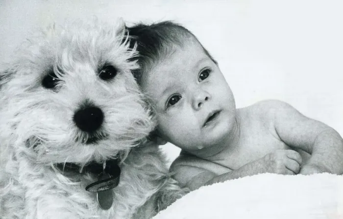 Framed Print : Baby Lucinda with her three year old West Highland terrier Haggis January 1976 Framed Print : Baby Lucinda with her three year old West Highland terrier Haggis January 1976