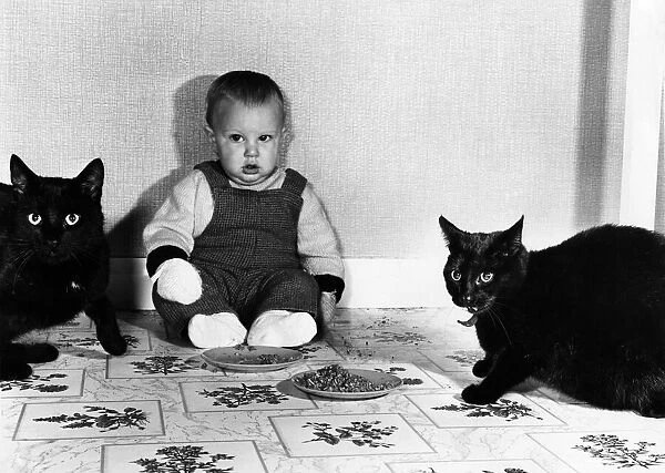 Baby Luke Pate with his cat Rhubarb (left) and Custard - wearing mits as he is allergic