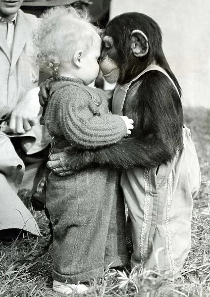 Baby bill and Pepe the chimp rub noses July 1954